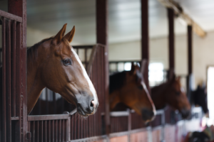 horse stall mats