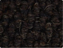 Black walnut c 88 colour image