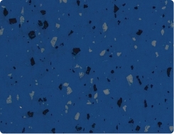 Blue fin colour sheet image