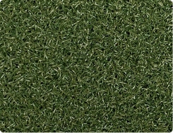 Green colour sheet image 1