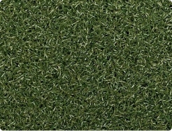Green colour sheet image 2
