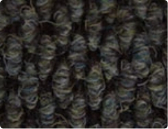 Lichen c 21 colour image