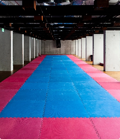 Martial arts mats featured image