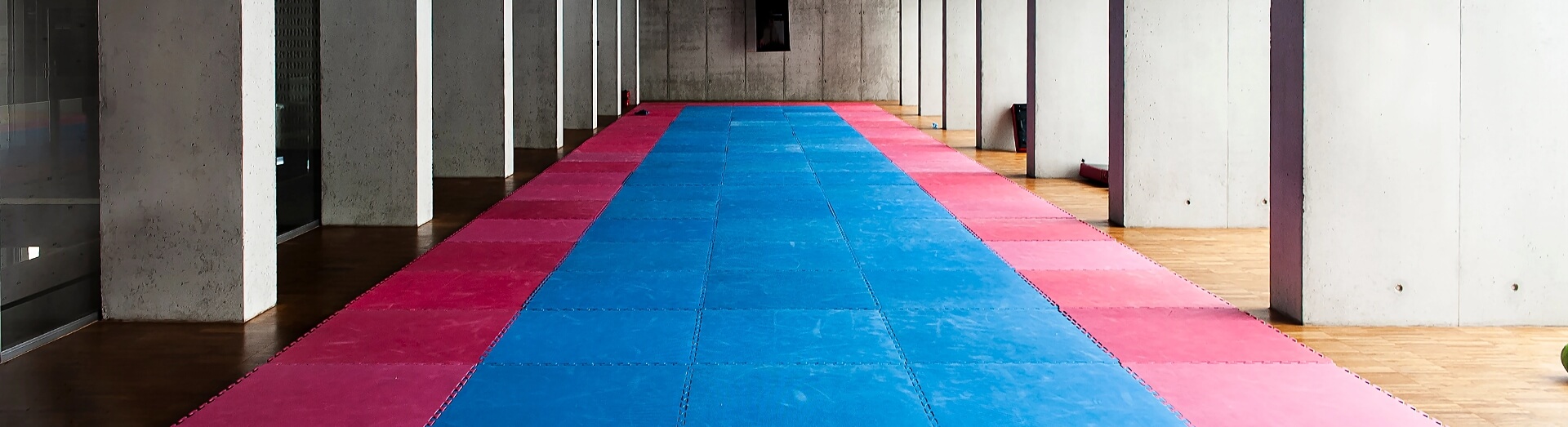 Martial arts mats hero image