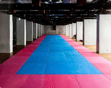 Martial arts mats thumbnail