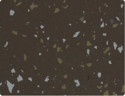 Pheasant colour sheet image