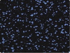 Sfr 045